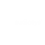 audioeye