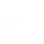 wave